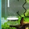 JARDLI Pollen Glass CO2 Diffuser with UShape Connecting Tube for Aquarium Planted Tank 2 for 5080 US gallons