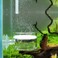 JARDLI Pollen Glass CO2 Diffuser with UShape Connecting Tube for Aquarium Planted Tank 2 for 5080 US gallons