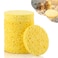 Cunhill 12 Pieces Hermit Crab Sea Sponges Unbleached Supplies for Maintaining Tank Humidity Pet Accessories Providing Nutrients