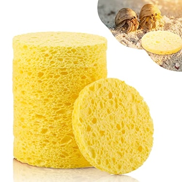 Cunhill 12 Pieces Hermit Crab Sea Sponges Unbleached Supplies for Maintaining Tank Humidity Pet Accessories Providing Nutrients