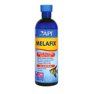 API MELAFIX Freshwater Fish Bacterial Infection Remedy 16Ounce Bottle