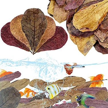 LeonBach 100 Pcs Large Catappa for Fish58 Inch 250g Indian Almond Leaves Creates Native EnvironmentCatappa Leaves Beta Fish Leaf for Aquarium Shrimp Tank Decorations Water Conditioner