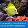 API Marine Stress Zyme Saltwater Aquarium Cleaning Solution 16Ounce Bottle