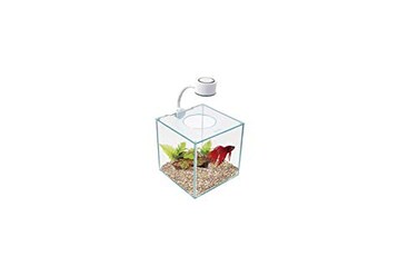 Marina CUBUS Glass Betta Kit Elegant Glass Aquarium for Homes or Offices