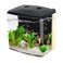 AQUANEAT Fish Tank 12 Gallon Aquarium Small Betta Fish Tank Starter Kit with LED Light and Water Filter Pump Rectangular