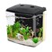 AQUANEAT Fish Tank 12 Gallon Aquarium Small Betta Fish Tank Starter Kit with LED Light and Water Filter Pump Rectangular