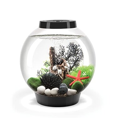 biOrb Classic 15 Acrylic 4Gallon Aquarium with White LED Lights Modern Compact Tank for Tabletop or Desktop Display BlackTrimmed Tank