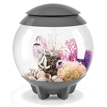 biOrb Halo 15 Acrylic 4Gallon Aquarium with MultiColor RemoteControlled LED Lights Modern Compact Tank for Tabletop or Desktop Display Gray