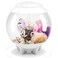 biOrb Halo 15 Acrylic 4Gallon Aquarium with MultiColor RemoteControlled LED Lights Modern Compact Tank for Tabletop or Desktop Display White