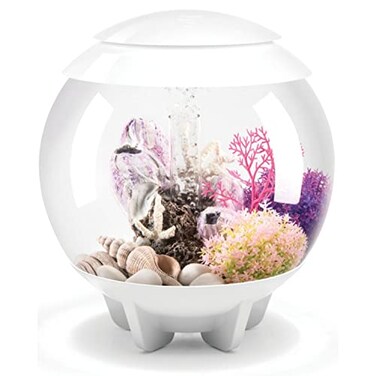 biOrb Halo 15 Acrylic 4Gallon Aquarium with MultiColor RemoteControlled LED Lights Modern Compact Tank for Tabletop or Desktop Display White