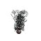 BiOrb 460930 Sea Fan Small Black Aquariums