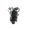 BiOrb 460930 Sea Fan Small Black Aquariums