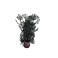 BiOrb 460930 Sea Fan Small Black Aquariums