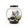 biOrb Classic 15 Acrylic 4Gallon Aquarium with MultiColor RemoteControlled LED Lights Modern Compact Tank for Tabletop or Desktop Display Black