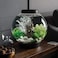 biOrb Classic 15 Acrylic 4Gallon Aquarium with MultiColor RemoteControlled LED Lights Modern Compact Tank for Tabletop or Desktop Display Black