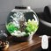 biOrb Classic 15 Acrylic 4Gallon Aquarium with MultiColor RemoteControlled LED Lights Modern Compact Tank for Tabletop or Desktop Display Silver