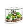 biOrb Loop 15 Acrylic 4Gallon Aquarium with White LED Lights Modern Compact Tank for Tabletop or Desktop Display WhiteTrimmed Tank