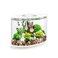 biOrb Loop 15 Acrylic 4Gallon Aquarium with White LED Lights Modern Compact Tank for Tabletop or Desktop Display WhiteTrimmed Tank