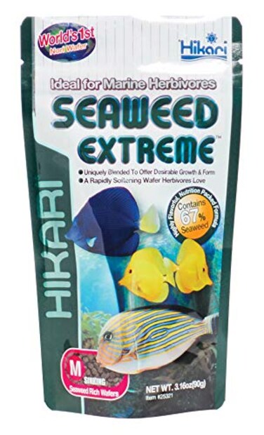 Hikari Usa Inc AHK25321 Seaweed extreme 316Ounce