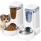HWONMTE Automatic Cat Feeder and Water Dispenser with Stainless Steel Bowl Dog Gravity Food Feeder and Waterer for Small Medium Pets Puppy Kitten 1 Gallon x 2