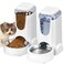 HWONMTE Automatic Cat Feeder and Water Dispenser with Stainless Steel Bowl Dog Gravity Food Feeder and Waterer for Small Medium Pets Puppy Kitten 1 Gallon x 2