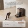 IMIPAW PET Automatic Cat Feeder 3L Auto Food Dispenser with Timed Feeding 6 Meal Programmable 120 Portion Precise Control Easy to Clean Setup for Cat Indoor Desiccant Bag Keep Food Fresh