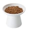 CEEFU Extra Wide Elevated Ceramic Cat Bowl 62 Shallow Dish for Whisker Fatigue Relief 5 Height for Easy Feeding Lead Cadmium Free Durable Raised Cat Food Bowls White