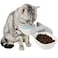 KINTEGOOD Dog Proof Cat Bowls Wall Mounted Cat Food and Water Double Bowls Set Elevated Pet Dish Feeding Station White