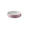 Mason Cash Colour Mix Pink Cat Saucer 13 cm