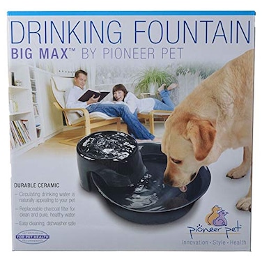 Pioneer Pet Pioneer Ceramic Drinking Fountain Big Max 128 ozBlack