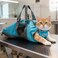 Cinf Cat Nail Clipping Cleaning Grooming Restraint Bag No Scratching Biting for Bathing Nail Trimming Injecting ExaminingBlueM