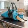 Cinf Cat Nail Clipping Cleaning Grooming Restraint Bag No Scratching Biting for Bathing Nail Trimming Injecting ExaminingBlueM