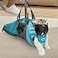 Cinf Cat Nail Clipping Cleaning Grooming Restraint Bag Free Muzzle No Scratching Biting for Bathing Nail Trimming Injecting Examining BlueM