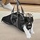 Cinf Cat Nail Clipping Cleaning Grooming Restraint Bag Free Muzzle No Scratching Biting for Bathing Nail Trimming Injecting ExaminingBlackM