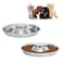 BobbyPet Stainless Steel Puppy Kitten Dish Whelping Weaning Dishes Feeder 118 Inch 2 Pack