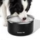 Gardner Pet Slow Water Bowl for Dogs No Spill AntiSplash Floating Plate Design Slows Drinking to Reduce Mess Keeps Water Clean Floors Dry 38LBlack
