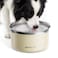 Gardner Pet Slow Water Bowl for Dogs No Spill AntiSplash Floating Plate Design Slows Drinking to Reduce Mess Keeps Water Clean Floors Dry 38LWhite