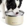 Gardner Pet Slow Water Bowl for Dogs No Spill AntiSplash Floating Plate Design Slows Drinking to Reduce Mess Keeps Water Clean Floors Dry 38LWhite