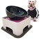 JWPC Bulldog Ceramic Dog Food BowlReplacement BowlOnly Bowlno Stand 15 Cup Black