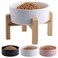 Addggo ElevatedRaised Ceramic Dog Bowl with Bamboo Stand White 36Cup