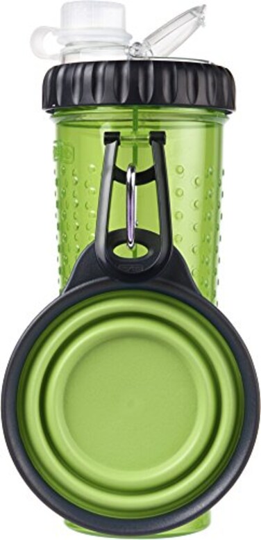 Dexas Popware for Pets Snack Duo Dual Chambered Hydration Bottle and Snack Container with Collapsible Pet Cup Green
