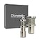 Diamondg Dog Nail Grinder Bits 2 Pack Compatible with Dremel Diamond Bits for Pet Nails Ideal for Small and Large Dogs Enhanced Little Lola Standard Big Casey