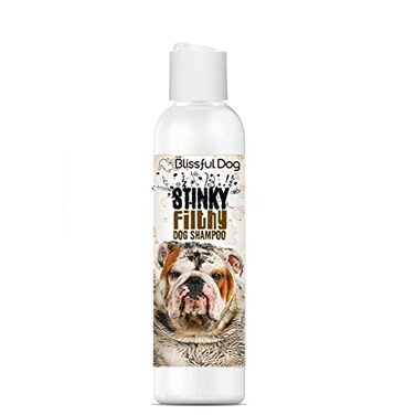The Blissful Dog Stinky Filthy Dog Shampoo 16 oz