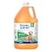 PetAg Fresh n Clean Scented Shampoo Classic Fresh Scent 1 Gallon Moisturizes with Vitamin E Aloe Vera Strengthens Repairs Coats Soap Free