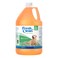 PetAg Fresh n Clean Scented Shampoo Classic Fresh Scent 1 Gallon Moisturizes with Vitamin E Aloe Vera Strengthens Repairs Coats Soap Free