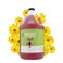 Bark2Basics High Concentrate Dog Shampoo 1 Gallon All Natural Ingredients Deep Cleaning 321 Concentration Fresh Scent Moisturizing Super Concentrated