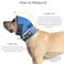No Flap Ear Wrap Red Pinpoint Mesh Small