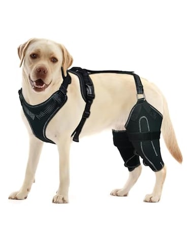 LISPOO Dog Knee Brace for Torn ACLCCL Hind LegAdjustable Support with Sufficient Wrapping and Support Luxating Patella NonSlip Joint BracePain Relief Better RecoveryBoth LegXL
