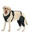 LISPOO Dog Knee Brace for Torn ACLCCL Hind LegAdjustable Support with Sufficient Wrapping and Support Luxating Patella NonSlip Joint BracePain Relief Better RecoveryBoth LegXL