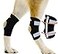 NeoAlly Super Supportive Dog Braces for Rear Leg and Hock Joint with Dual Metal Spring Strips Stabilize Canine hind Legs from Wound Injury Sprains Arthritis XL Pair